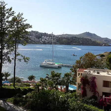 Club Flipper Bodrum فندق